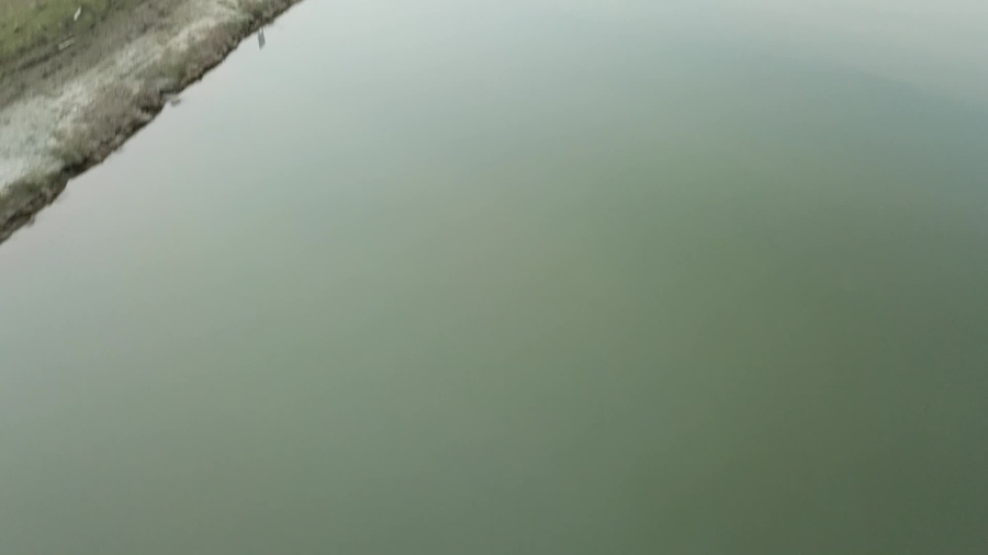 Poszukiwania zaginionej 74-latki