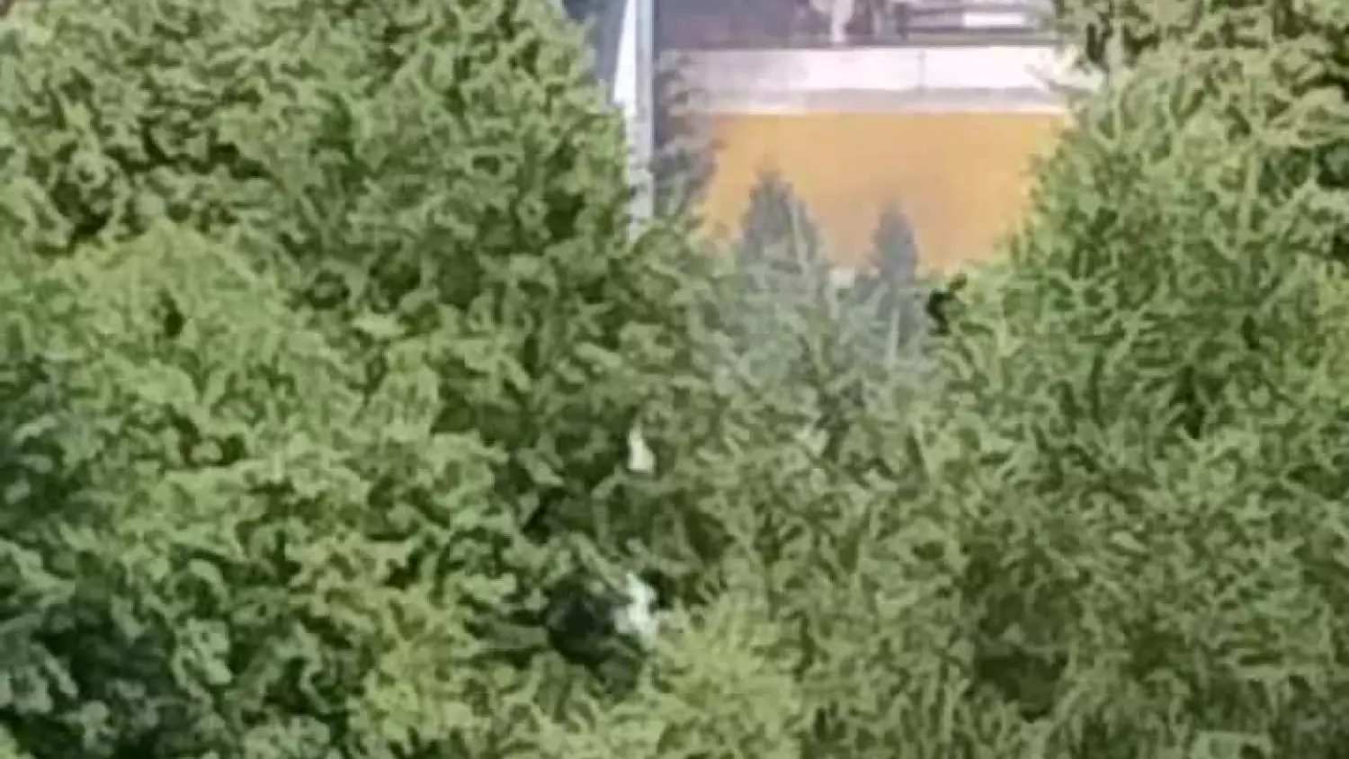 Pożar samochodów na os. Pogorzelec