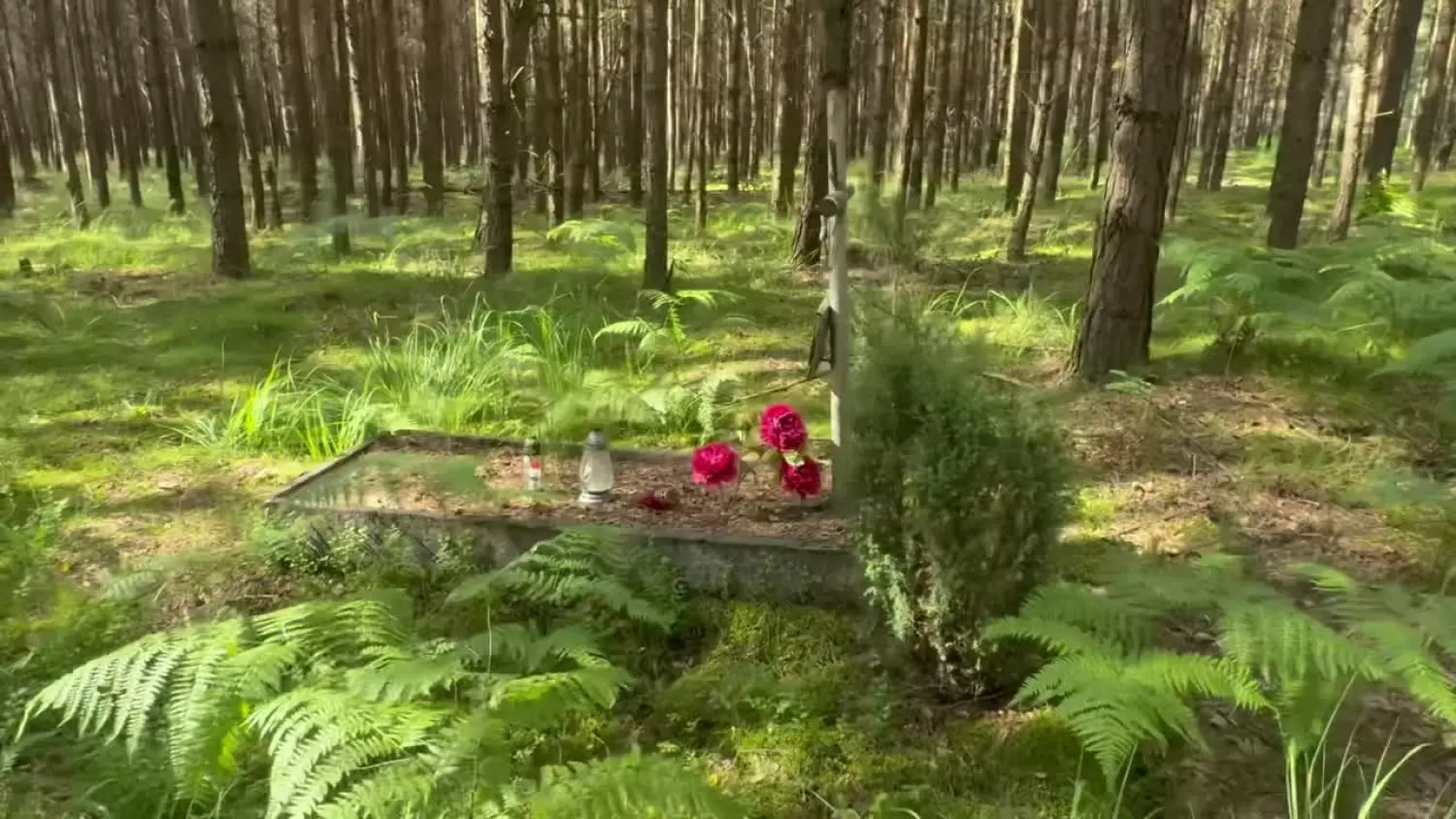 Grób leśny Augusta Eisinga