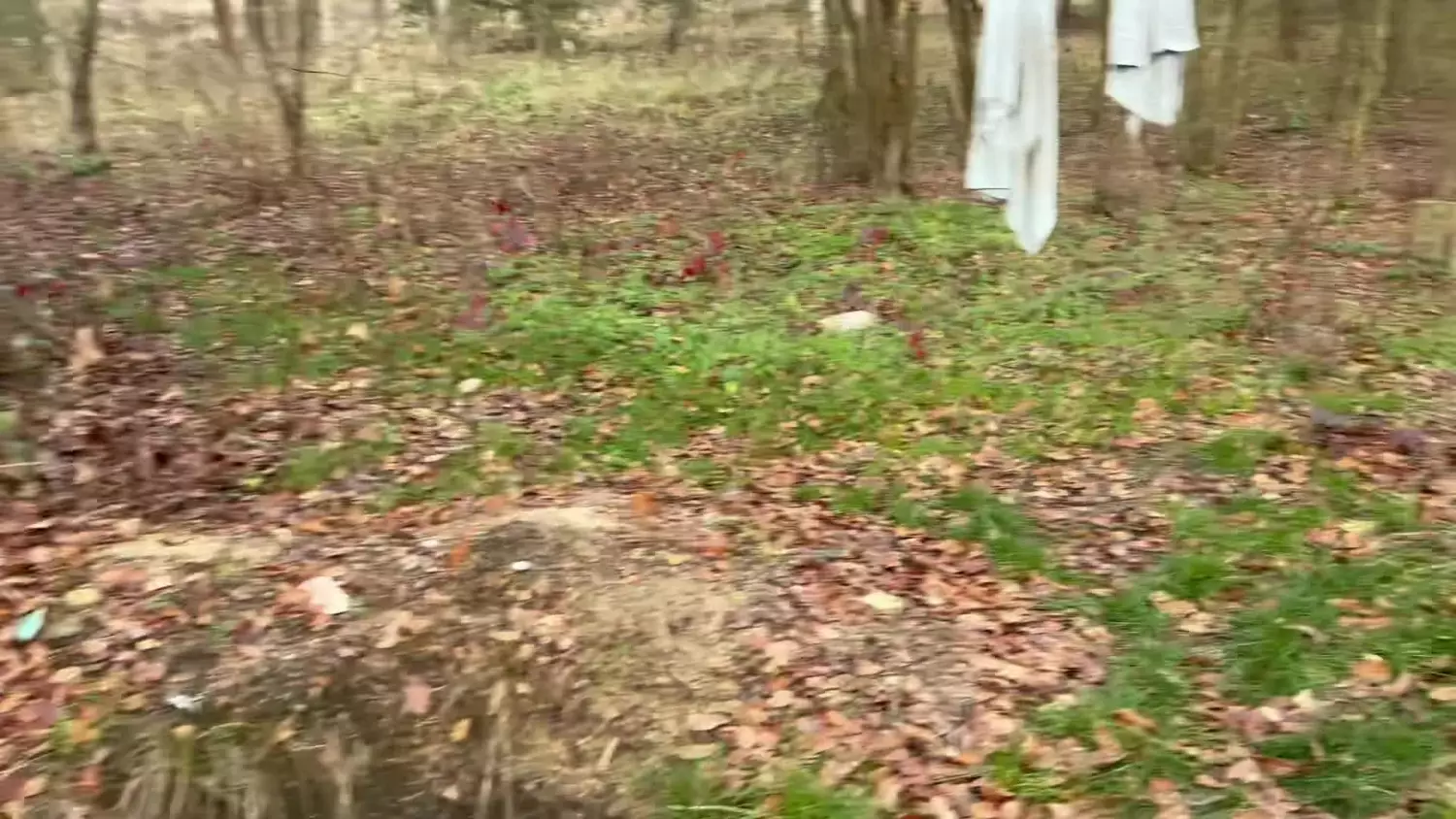 Kamienie w kędzierzyńskim lesie. Jest apel o ich zabezpieczenie