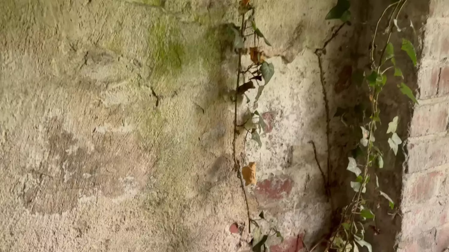 Kanał Kłodnicki piwniczka-chłodnia położona tuż obok śluzy numer 2 w Kędzierzynie-Koźlu