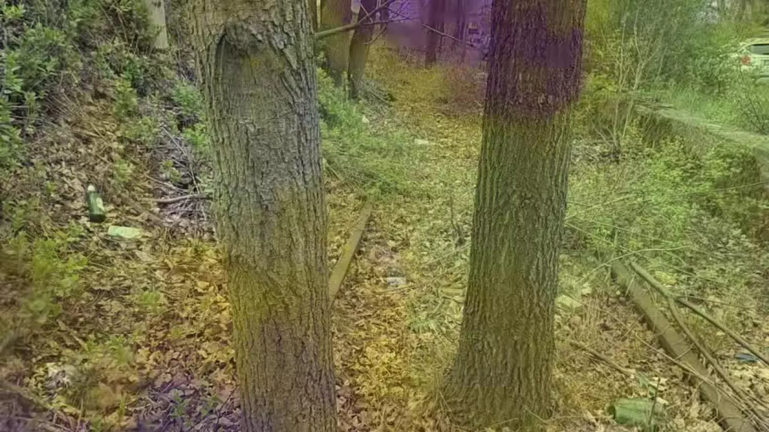 stare torowisko na ulicy Tartacznej