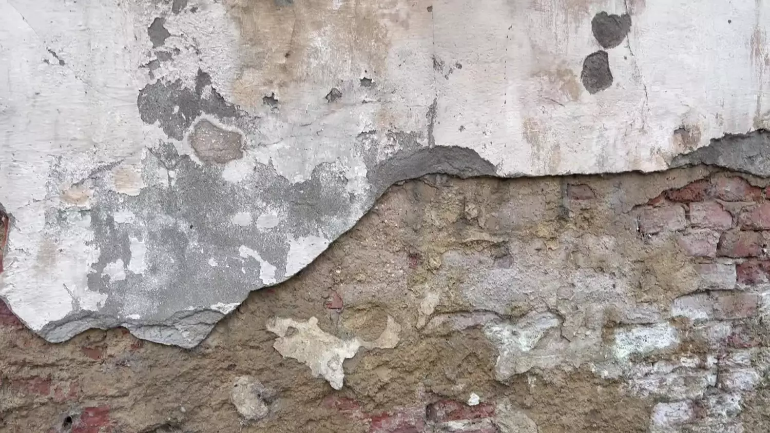 „Niebiański” kolor zachował się na starym murze w okolicach dawnego pałacu Flemminga