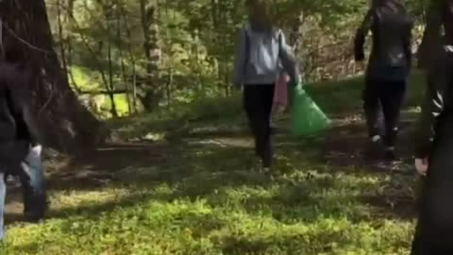 „Szkolne porządki” - I LO