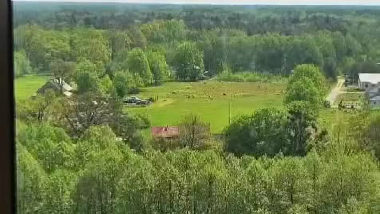 Młodzi pasjonaci natury w kędzierzyńsko-kozielskich lasach!
